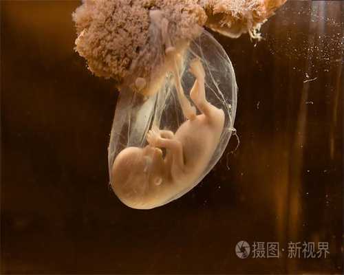 武汉2021年洗精代孕_武汉哪里可以找代孕妈妈
