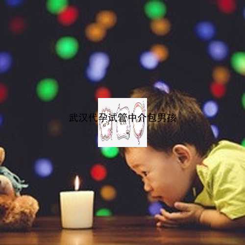 武汉代生孩子第三代试管|421bj_824Ey_吃白藜芦醇对试管婴儿的作用是什么？_yw1